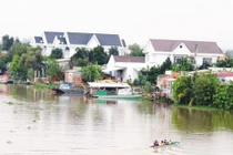 Long An: Thiên Lộc Kiến Tường thi công cống Rạch Gốc