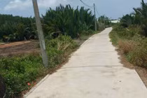 TP HCM: Công ty Kiến Gia Hưng thắng tiếp gói thầu hơn 4 tỷ