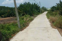 TP HCM: Công ty Kiến Gia Hưng thắng tiếp gói thầu hơn 4 tỷ