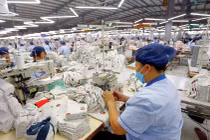 TCM lãi gần 139 tỷ sau 5 tháng, đã nhận 80% đơn hàng quý 3