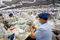 TCM lãi gần 139 tỷ sau 5 tháng, đã nhận 80% đơn hàng quý 3