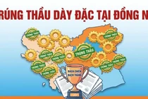"Hệ sinh thái" nhà thầu Thành Kiên: Trúng thầu dày đặc, "bách chiến bách thắng" tại Đồng Nai [Kỳ 2]