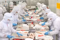 Ông trùm cá tra Nam Việt báo lãi quý 2 tăng gấp trăm lần lên 332,8 tỷ đồng