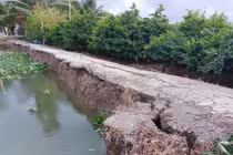 Ngọc Vịnh dồn dập trúng thầu trong nửa đầu năm 2025