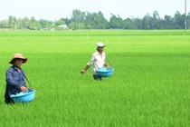 Hậu Giang: Liên danh Bội Thu – Khải Linh thắng gói thầu 6,8 tỷ