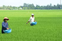 Hậu Giang: Liên danh Bội Thu – Khải Linh thắng gói thầu 6,8 tỷ