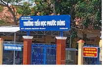 Công ty Phát Thành được chỉ định nạo vét, sửa đê bờ Tây rạch Kiến Vàng