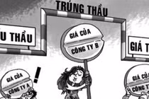 Hiện tượng nhà thầu Phú Vĩnh Thành: Lời giải từ năng lực chuyên biệt