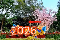 Lâm Đồng: Công ty Nhật Minh Trí được chỉ định gói trang trí Tết gần 2 tỷ đồng