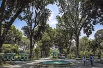 Gói thầu Thảo Cầm Viên: Vì sao 4/5 nhà thầu bị loại từ “vòng gửi xe”?