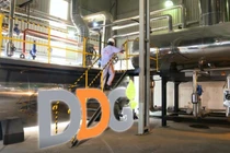 Công bố thông tin sai lệch, Xuất nhập khẩu Đông Dương bị phạt nặng