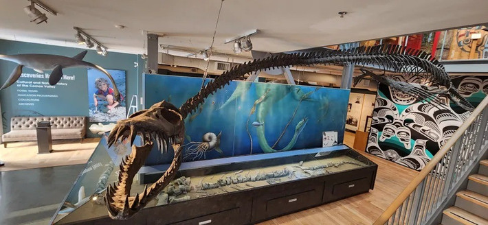 Traskasaura sandrae có thể dài tới 12m và có hàm răng chắc khỏe để nghiền nát con mồi. Quái thú khổng lồ này sống cách đây khoảng 85 triệu năm ở khu vực ngày nay là đảo Vancouver. Ảnh: The Courtenay and District Museum and Palaeontology Centre.