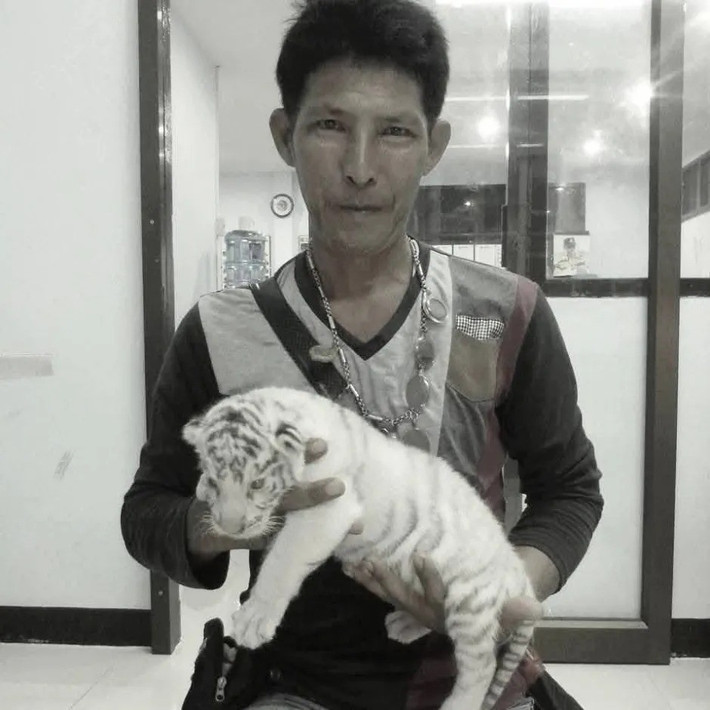 Ông Attapol Charoenchansa, Tổng giám đốc Sở Động vật hoang dã cho biết khu vực xảy ra sự cố trên sẽ vẫn đóng cửa cho đến khi đảm bảo được an toàn cho du khách tham quan vườn thú. Ảnh: ViralPress.