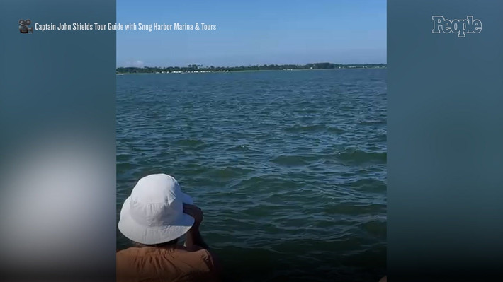 Snug Harbor Marina cho biết thêm trong phần bình luận rằng, thuyền trưởng John chia sẻ đó là cảnh tượng tuyệt vời nhất trong 50 năm qua của ông. Ảnh: Captain John Shields.