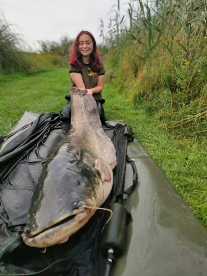 Tháng 8/2021, Hannah Truscott, 15 tuổi đã có buổi đi câu với cha tại khu vực hồ White Lakes, Essex, Anh. Trong chuyến đi câu này, Hannah câu được con cá trê nặng hơn 45 kg. Ảnh: SWNS.