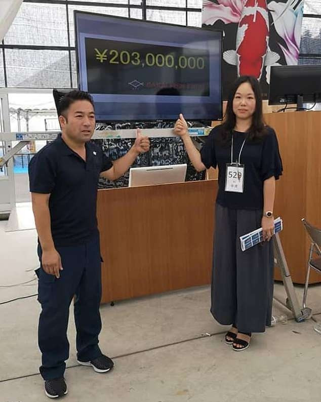 Tuy nhiên, con cá Koi tên S Legend đã chết vào năm 2019, tức một năm sau khi được bán với mức giá kỷ lục. Ảnh: Daily Mail.