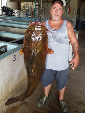 Năm 2020, Lavon Nowling lập kỷ lục của bang Florida khi câu cá trê đầu bẹt nặng 31,7 kg và dài 1,2m trên sông Yellow, Mỹ. Kỷ lục trước đó thuộc về con cá nặng 31,4 kg do Marvin Griffin câu được trên sông Yellow năm 2019. Ảnh: UPI.