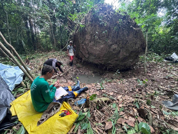 Những phát hiện tương tự đã được tìm thấy ở khu vực Solimões. Trong những trường hợp này, bình đựng tro cốt có nắp đậy "tượng trưng" cho đầu, các cấu trúc ở 2 bên mô phỏng các chi. Ảnh: Geórgea Holanda/Mamirauá Institute.