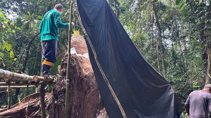 Geórgea Layla Holanda, nhà khảo cổ học tại Viện Phát triển Bền vững Mamirauá (IDSM) ở Brazil, cho biết 2 trong số những chiếc bình đựng tro cốt có kích thước khá lớn, đường kính lên tới 89 cm. Bên trong 2 chiếc bình này có chứa xương người trong khi những bình còn lại chứa hỗn hợp hạt giống, các cá, ếch và rùa. Ảnh: Geórgea Layla Holanda.