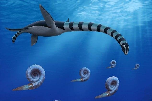 Theo các nhà cổ sinh vật học, dù thuộc nhóm thằn lằn cổ dài biển (plesiosaur) nhưng Traskasaura sandrae mang nhiều đặc điểm kỳ dị chưa từng thấy ở các loài cùng nhóm. Ảnh: Robert O. Clark.