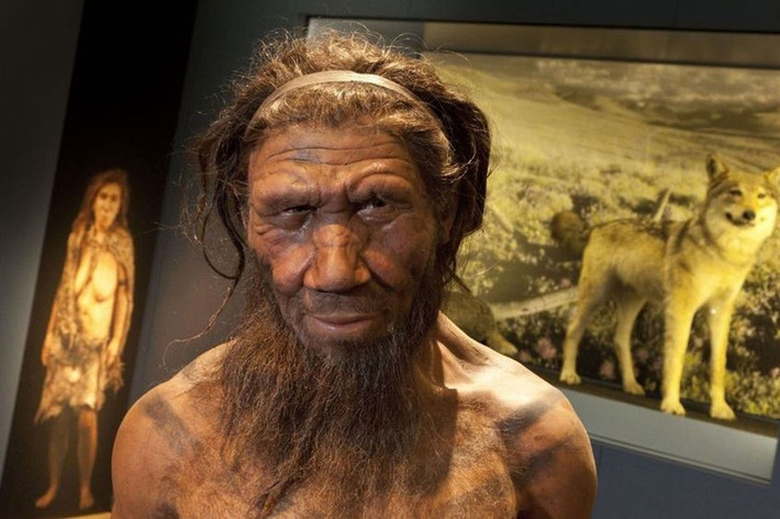Các tuyến đường di cư của người Neanderthal được mô phỏng bằng máy tính chứng minh rằng họ có thể đã đến dãy núi Altai ở Siberia trong vòng 2.000 năm trong điều kiện khí hậu ấm áp ở một trong hai thời kỳ cổ đại là: MIS 5e (khoảng 125.000 năm trước) hoặc MIS 3 (khoảng 60.000 năm trước). Ảnh: The Natural History Museum, London.