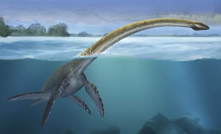 Kể từ khi Sổ Đăng ký Quan sát Quái vật hồ Loch Ness được lập năm 1996, hơn 1.000 báo cáo được ghi nhận. Ảnh: Sergey Krasovskiy / Stocktrek Images / Getty Images.