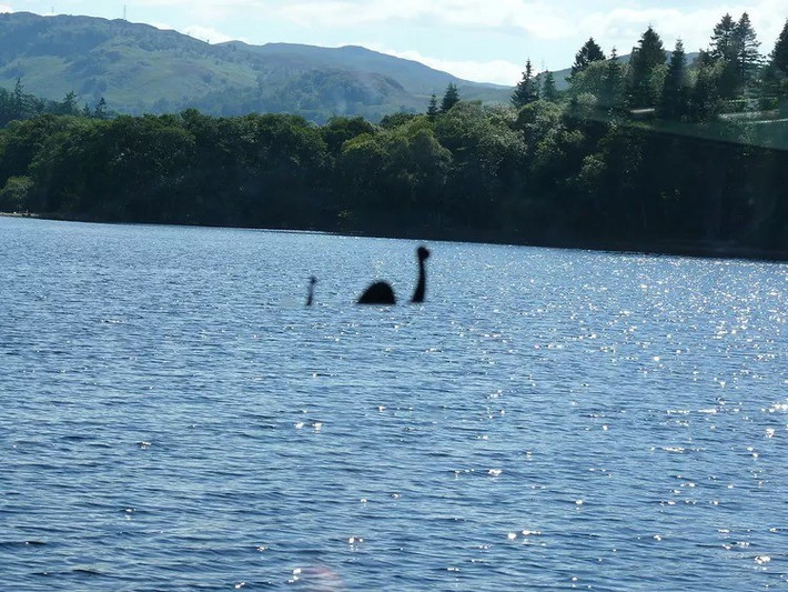 Nhóm nghiên cứu cũng phân tích các bưu thiếp về quái vật hồ Loch Ness và phát hiện chỉ khoảng 25 - 32% hình ảnh có bướu nối liền sau đầu và cổ. Ảnh: Ad Meskens / Wikimedia Commons / CC BY 3.0.
