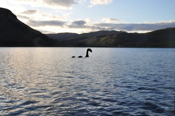 Nghiên cứu mới đây của Tiến sĩ Charles Paxton (Đại học St Andrews) và chuyên gia Adrian Shine (Trung tâm Loch Ness) cho thấy chỉ 1,5% nhân chứng trong 100 năm qua nói họ thấy những chiếc bướu hay vòng uốn lượn. Ảnh: Yulia Bogomolova/Shutterstock.