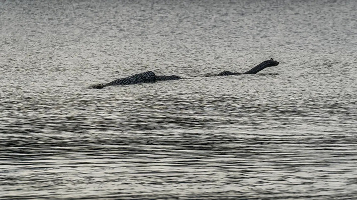 Đến ngày 12/11/1933, Hugh Gray chụp được bức ảnh đầu tiên về quái vật"hồ Loch Ness. Kể từ đó, nhiều người tìm đến đây với hy vọng có thể trông thấy quái vật khổng lồ này. Ảnh: konur/shutterstock.com.