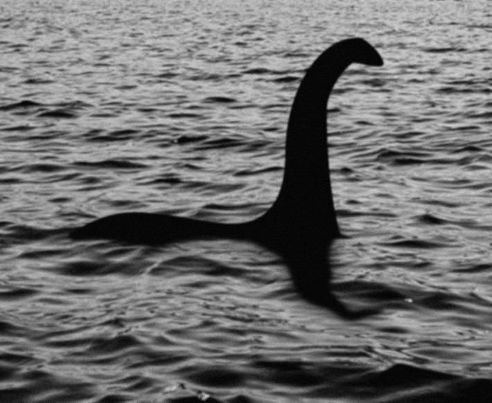 Theo ông Eoin, không có sinh vật nào ở hồ Loch Ness có kích thước như vậy được biết đến. Vì vậy, ông suy đoán đó có thể là một thành viên trong gia đình của quái vật hồ Loch Ness. Ảnh: Matt84//Getty Images.
