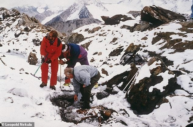Trong khi dòng dõi bên cha của những người đàn ông thời tiền sử sống ở dãy Alps khá giống nhau, dòng dõi bên mẹ của họ lại đa dạng. Điều này cho thấy phụ nữ có thể đã kết hôn với một nhóm đàn ông gắn bó chặt chẽ. Ảnh: Leopold Nekula.