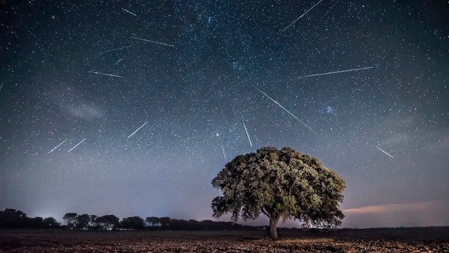 Mưa sao băng Perseid nổi tiếng với những sao băng sáng và nhanh, di chuyển với tốc độ 60 km/giây. Chúng là sản phẩm của những hạt bụi nhỏ còn sót lại trong hệ Mặt Trời do sao chổi 109P/Swift-Tuttle va chạm với bầu khí quyển Trái đất. Khi va chạm, chúng nóng lên và bốc hơi, giải phóng năng lượng có thể nhìn thấy dưới dạng những vệt sáng trên bầu trời đêm. Ảnh: Gabriel Gonzalez (noctografia) / 500px via Getty Images.