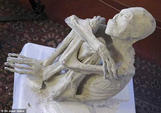 Dù vậy, nhà báo Mantilla lưu ý rằng, cho đến nay, Montserrat được xác định có điểm tương đồng về mặt giải phẫu với cơ thể con người nhưng cần phải phân tích sâu hơn để đưa ra kết luận đáng tin cậy. Ảnh: Dr Jose Zalce.