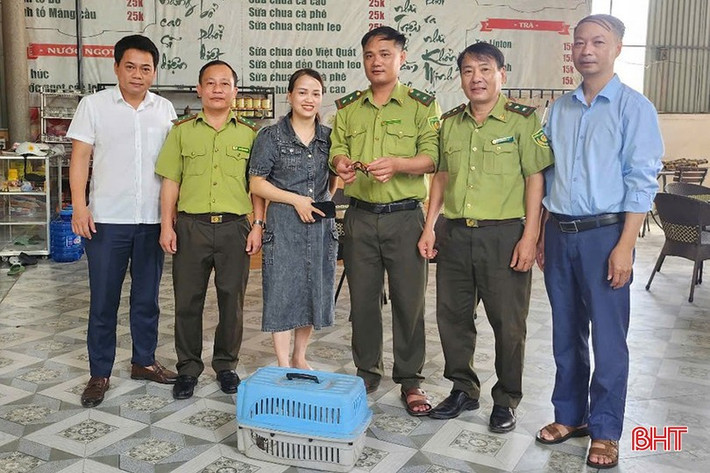 Loài rùa Sa Nhân cũng được liệt kê trong Sách đỏ của Liên minh Bảo tồn Thiên nhiên Quốc tế (IUCN) 2012 và cần được bảo vệ khẩn cấp. Ảnh: Báo Hà Tĩnh.