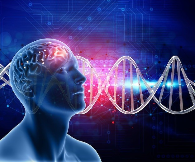 Những người có bộ não siêu trẻ ít có nguy cơ phát triển bệnh Alzheimer, thấp hơn 74% so với nhóm có độ tuổi não gần với tuổi thực. Ảnh: freepik.