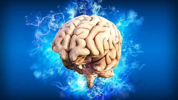 Trong trường hợp phải chọn một cơ quan đại diện tốt nhất, nhóm nghiên cứu chọn não bộ. Dữ liệu cho thấy những người có độ tuổi sinh học của não bộ trẻ hơn thường có tuổi thọ cao hơn. Ảnh: Pete Linforth/ Pixabay.