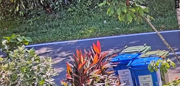 Một chủ nhà ở Old Upper Thomson, Singapore bàng hoàng khi nhìn thấy cảnh tượng đáng sợ khi xem lại camera giám sát trước nhà vào khoảng 3h40 chiều ngày 29/6. Người này phát hiện một con trăn gấm dài khoảng 2,5m và một con rắn hổ mang chúa Sunda dài 4m.