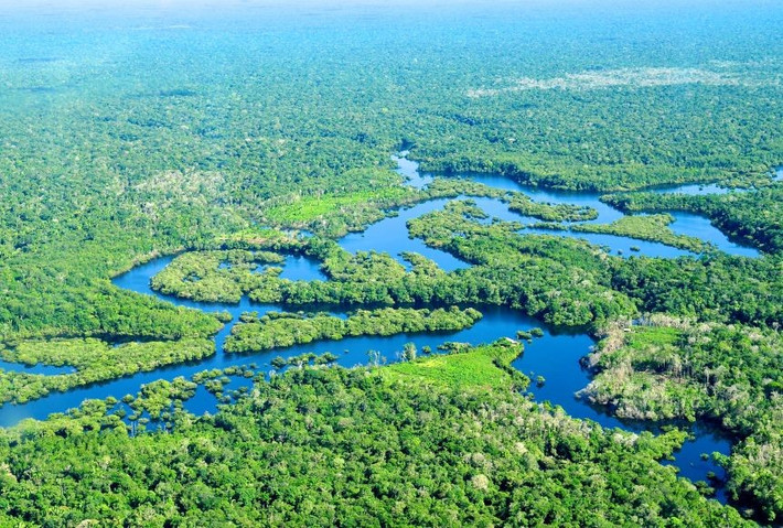 Báo cáo rừng toàn cầu của Viện Tài nguyên Thế giới ước tính rừng Amazon ở Brazil đã mất 28.000 km2 chỉ trong năm 2024. Ảnh: Neil Palmer/CIAT for Center for International Forestry (CIFOR).