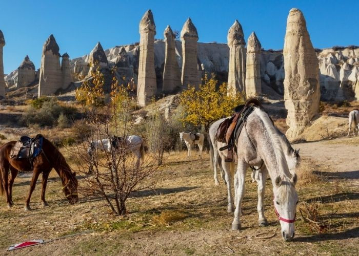 Một truyền thuyết kể về các "ống khói cổ tích" ở Cappadocia. Tương truyền, các vị thần sống ở dưới lòng đất vào thời cổ đại. Những cột đá kỳ thú chính là ống khói từ nhà ở của các vị thần. Ảnh: cappadociatravelpass.