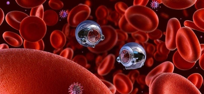 Theo ông Ray, một trong những bước tiến quan trọng là phát triển nanobot hoạt động bên trong mạch máu để duy trì sức khỏe mà không cần sự giám sát y tế liên tục. Ảnh: Corona Borealis Studio/Shutterstock.com.
