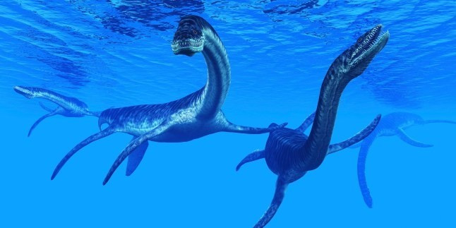 Loài Traskasaura sandrae bơi cực giỏi và săn mồi bằng cách lặn từ trên cao xuống. Thức ăn của chúng gồm các loài mực vỏ (ammonite) có nhiều ở đại dương khi đó. Ảnh: metro.co.uk.