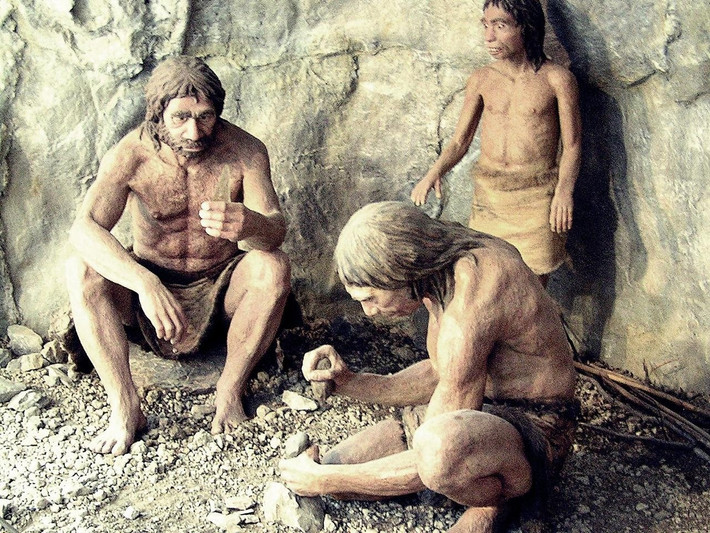 Để tìm kiếm manh mối di truyền tiềm năng giúp giải đáp bí ẩn này, các nhà nghiên cứu đã phân tích enzyme ADSL (adenylosuccinate lyase). Protein này giúp tổng hợp purine - một trong những khối xây dựng cơ bản của ADN và các phân tử quan trọng khác. Ảnh: Jaroslav A. Polák.