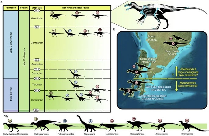 Nhà cổ sinh vật học Iniricu cho hay manh mối đầu tiên về hóa thạch Joaquinraptor casali được phát hiện vào năm 2019. Tuy nhiên, các chuyên gia phải mất 3 mùa khai quật thực địa mới có thể khai quật hoàn toàn hóa thạch này. Ảnh: nature.