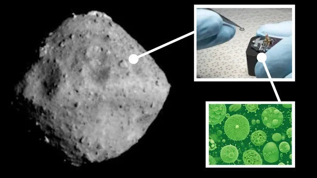 Theo các chuyên gia, những mẫu đá này còn lâu đời hơn cả bản thân tiểu hành tinh Ryugu, vốn được tạo thành từ các khoáng chất phản ứng với nước khoảng 4,562 tỷ năm trước. Ảnh: Robert Lea (created with Canva)/NASA/JAXA, University of Tokyo, Kochi University, Rikkyo University, Nagoya University, Chiba Institute of Technology, Meiji University, Aizu University, AIST.