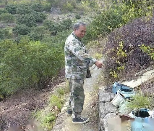 Vào mùa hè năm 2022, ông Chu Nhân Lương, cán bộ kiểm lâm tại làng Tiễn Giang, tỉnh Chiết Giang, Trung Quốc bất ngờ phát hiện loài động vật "tuyệt tích" hơn 30 năm sau khi nghe thấy tiếng động lạ bên trong xô đựng nước. Sau khi kiểm tra, ông biết được đó là loài ếch mưa Trung Quốc. Ảnh: Sohu.