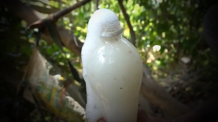 Rượu từ cây Đoác có màu trắng đục giống như nước dừa và hương thơm rất dịu