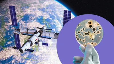 Phát hiện vi khuẩn đột biến tại trạm không gian Trung Quốc