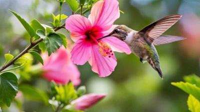 Cát khí bủa vây, 3 con giáp may mắn nhất tháng 8 dương, tiền đẻ ra tiền
