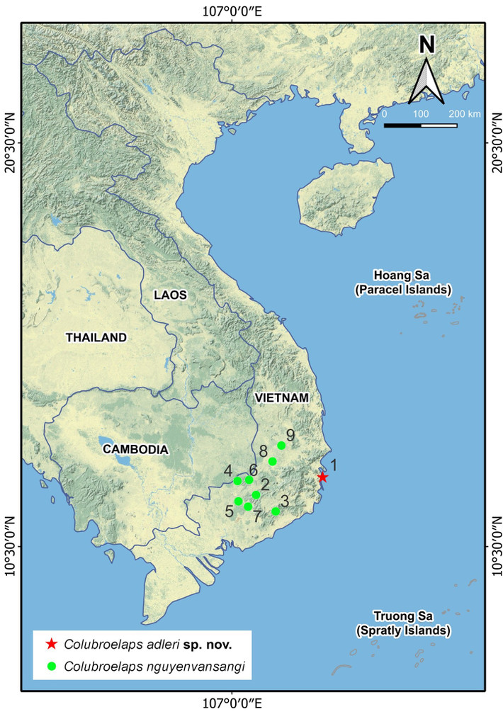 Các nhà khoa học Việt Nam và Nga, bao gồm thạc sĩ Nguyễn Văn Tân (Đại học Duy Tân, Đà Nẵng), Nikolay A. Poyarkov và Andrey M. Bragin (đều thuộc Đại học Quốc gia Moskva, Nga) đã phát hiện và mô tả về một loài rắn mới, được tìm thấy trên Hòn Tre, một hòn đảo nhỏ thuộc tỉnh Khánh Hòa. Ảnh: Nhóm nghiên cứu/Herpetozoa