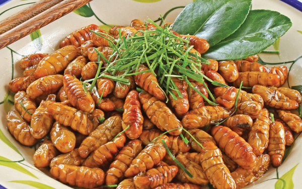 Nhộng tằm là loại côn trùng giàu chất dinh dưỡng và có rất nhiều tác dụng trong việc chữa bệnh. Người cao tuổi bị yếu thận, hay tiểu tiện són, táo bón dùng nhộng tằm thường xuyên cũng cải thiện được tình hình sức khỏe. Đặc biệt, nhộng tằm kết hợp với hoa hẹ giúp bổ thận, dùng để trị mộng tinh, đau lưng, mỏi gối, nhức mỏi trong chân, lạnh chân; tốt cho tiêu hóa; bổ phổi, tiêu đờm, trị suy nhược cơ thể, già yếu, liệt dương...